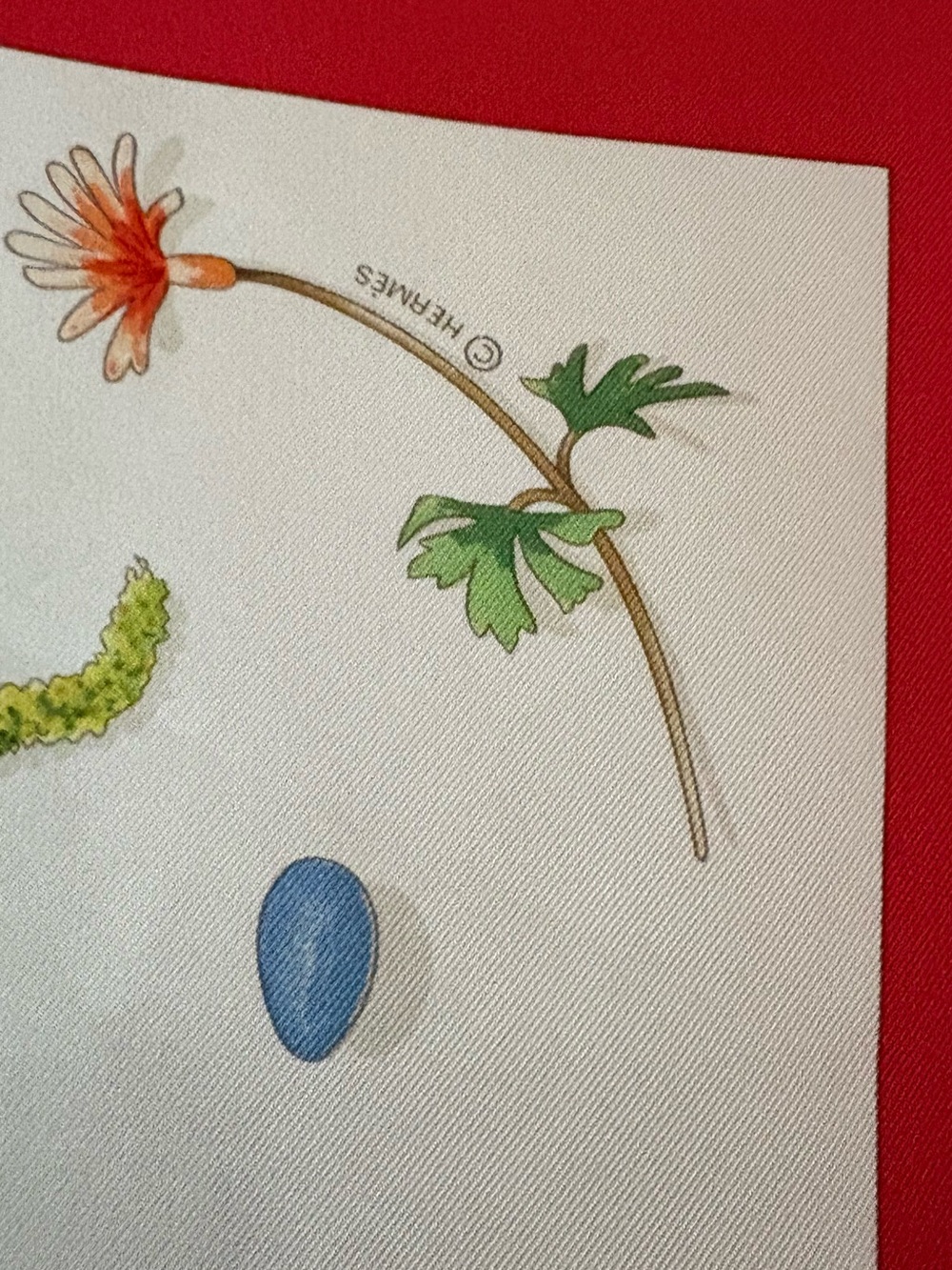 HERMES Vintage Fleurs et Plumes Silk Scarf 
Carre 90 by Leigh P Cooke - Picture 5 of 7